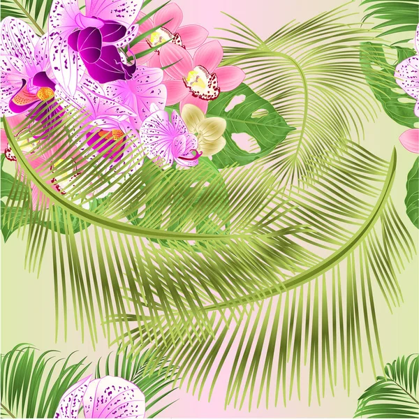 Texture Transparente Orchidées Tropicales Fleurs Cymbidium Rose Phalaenopsis Monstera Palmier — Image vectorielle