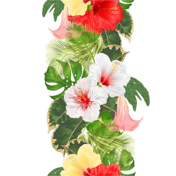 Bordure Sans Couture Fleurs Tropicales Arrangement Floral Avec Hibiscus Blanc — Image vectorielle