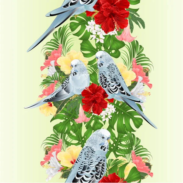 Bordure Tropicale Fond Sans Couture Budgerigars Animaux Domestiques Perruches Animaux — Image vectorielle