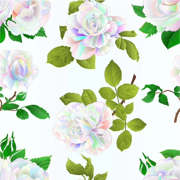 Multicolore Rose Bourgeons Texture Transparente Vintage Vecteur Illustration Botanique Modifiable — Image vectorielle