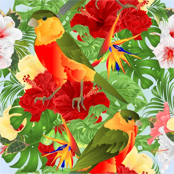 Бесшовная Текстура Тропических Птиц Милые Маленькие Забавные Различные Гибискус Strelitzia — стоковый вектор