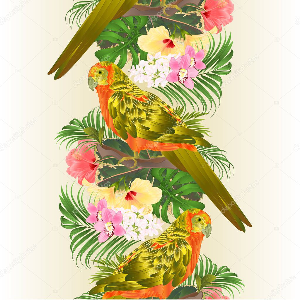 Seamless Border Bird Sun Conure Parrot Home Pet Parakeet On A Branch Bouquet With Tropical Flowers Hibiscus Palm Philodendron Vintage Vector Illustration Editable Hand Draw Premium Vector In Adobe Illustrator,What Is A Pergola With A Roof Called