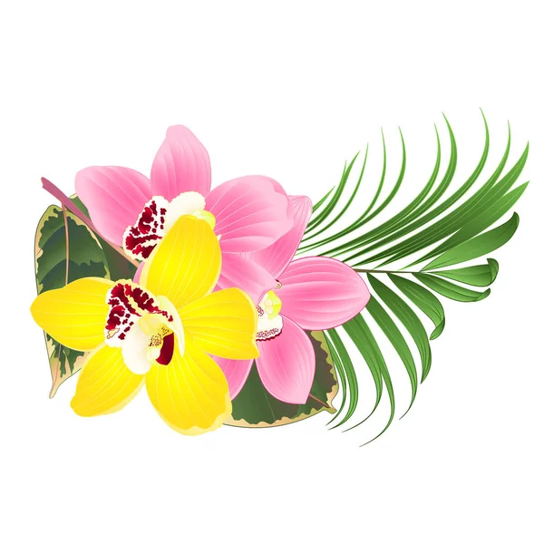 Tropické Květiny Květinové Aranžmá Orchidej Cymbidium Růžové Žluté Dlaň Fíkus — Stockový vektor