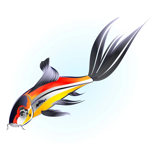 Koi Peces Carpa Hermosa Mano Dibujado Tradicional Sobre Fondo Azul — Vector de stock