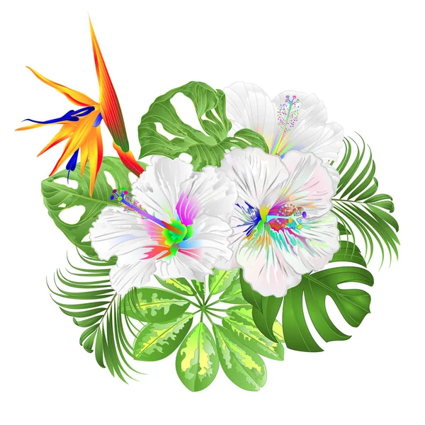 Buquê Com Flores Tropicais Arranjo Floral Com Strelitzia Multi Colorido —  Vetores de Stock