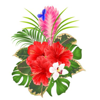 Tillandsia siyanesi ve orkideler cymbidium ve hibiscus buketi tropikal çiçek palmiyesi, filodendron beyaz arka plan vintage illüstrasyon düzenlenebilir el çizimi