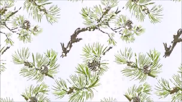 イラストのビデオシームレスループアニメーション松様々な枝やコーン針や雪のヴィンテージ植物クリスマスの背景手描きの動き — ストック動画