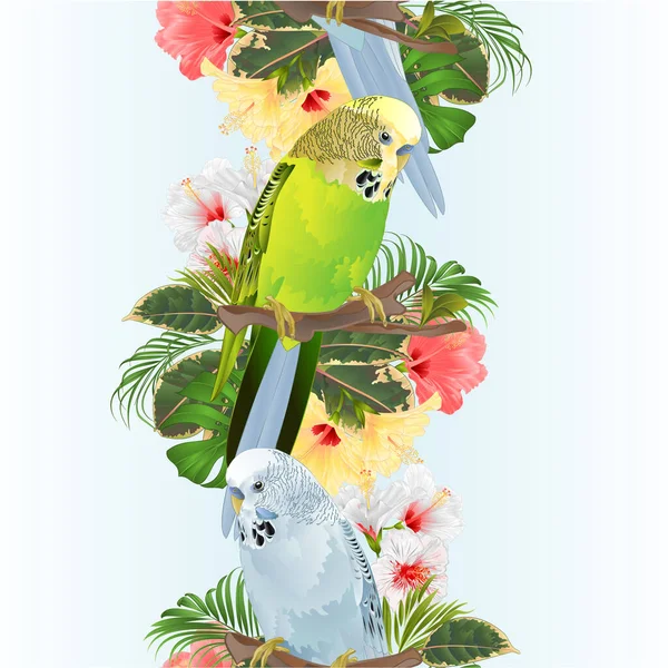 Vertikální Hranice Bezešvé Pozadí Ptáků Budgerigars Domácí Mazlíčci Zelená Modrá — Stockový vektor