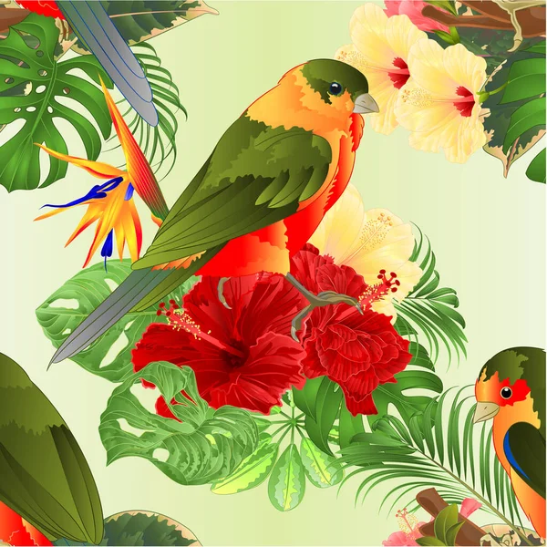 Ramo Aves Tropicales Textura Sin Costuras Con Flores Tropicales Hibisco — Vector de stock