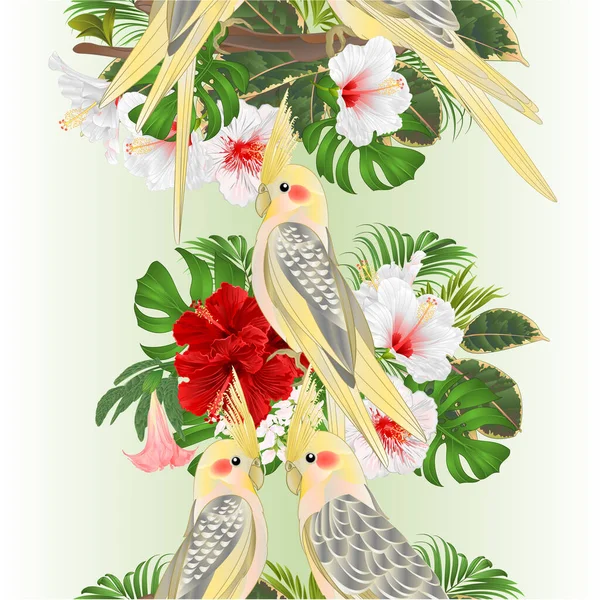 Bordure Verticale Fond Sans Couture Perroquets Cockatiel Jaune Oiseau Tropical — Image vectorielle