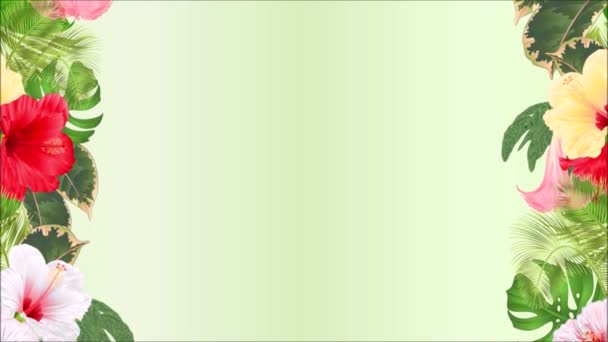 画面无缝环路动画 画边热带花卉排列 白色红黄芙蓉和布鲁曼西亚棕榈 菲罗敦古董花运动 — 图库视频影像
