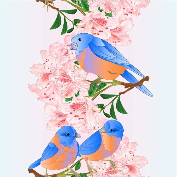 Arrière Plan Vertical Sans Couture Bordure Petits Oiseaux Bluebirds Grive — Image vectorielle