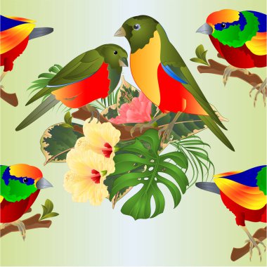 Kusursuz desenli tropikal kuşlar, tropikal çiçekli buket palmiye dalında ambar, beyaz arka planda filodendron, klasik vektör çizimi düzenlenebilir el çizimi.