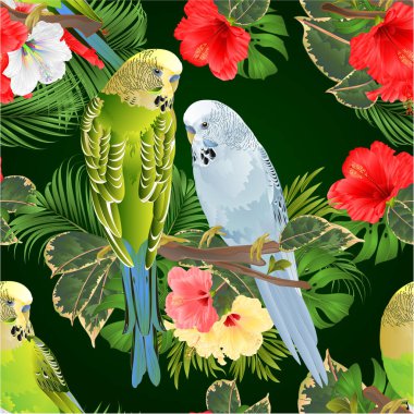 Kusursuz desenli kuşlar Budgerigarlar, ev hayvanları, gren ve mavi evcil hayvanlar ağaç buketinde tropikal çiçekler, amber çiçeği, palmiye, filodendron beyaz arka plan vintage illüstrasyon düzenlenebilir el çizimi.
