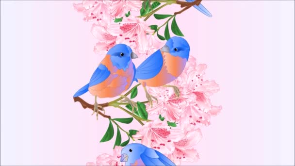 イラストのビデオシームレスループアニメーション垂直シームレスな背景境界の小さな鳥ブルーバードスラッシュとライトピンクのシャクナゲの枝水彩ヴィンテージの動き — ストック動画