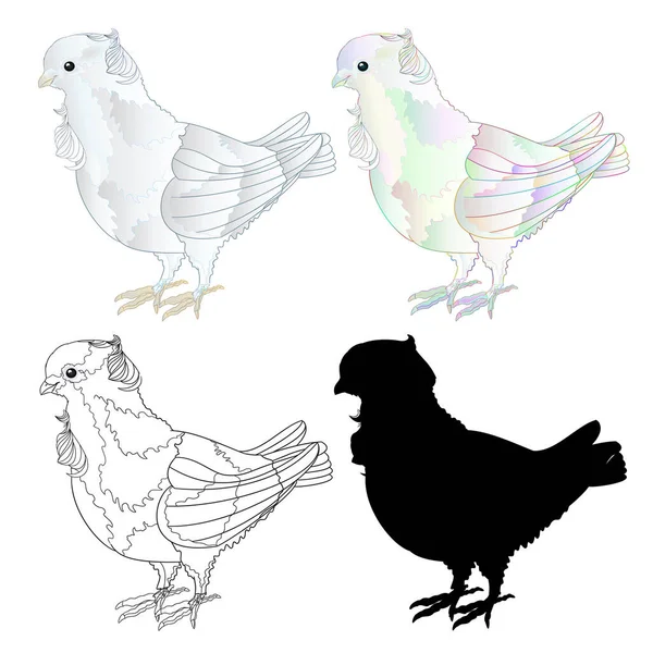 Decoratieve Witte Duif Schattige Kleine Vogels Omtrek Silhouet Een Witte — Stockvector