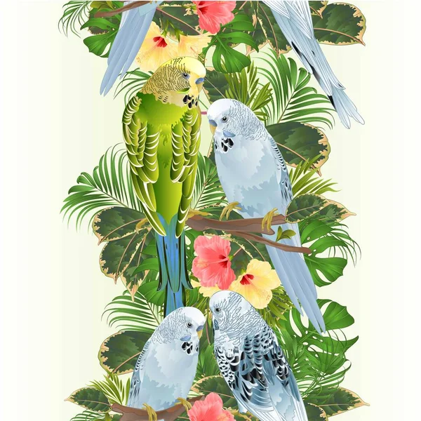 垂直境界シームレスな背景鳥熱帯の花ハイビスカス Pholodendronヴィンテージベクトルイラスト編集可能な手描きで枝花束にBudgerigars 青と緑のパーク ロイヤリティフリーストックベクター