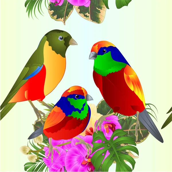 Textura Sem Costura Pássaros Tropicais Com Flores Tropicais Arranjo Floral —  Vetores de Stock