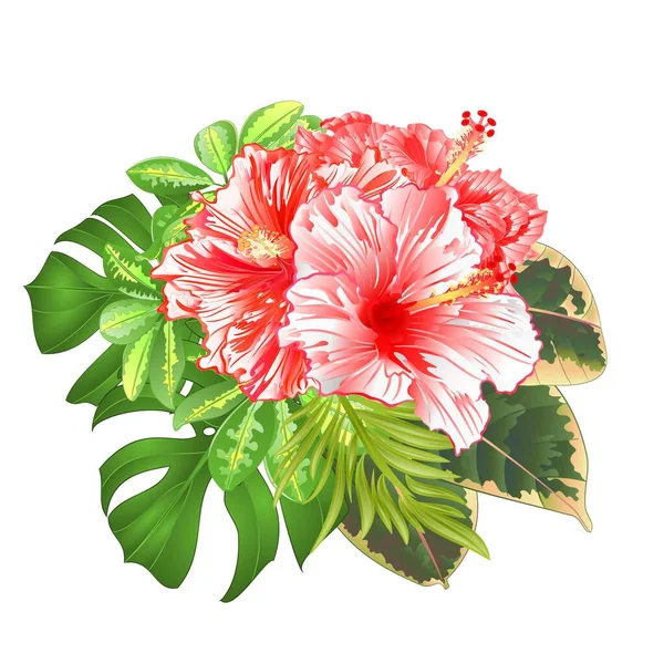 Kytice Tropickými Květy Květinové Aranžmá Krásným Červeným Bílým Ibiškem Schefflera — Stockový vektor