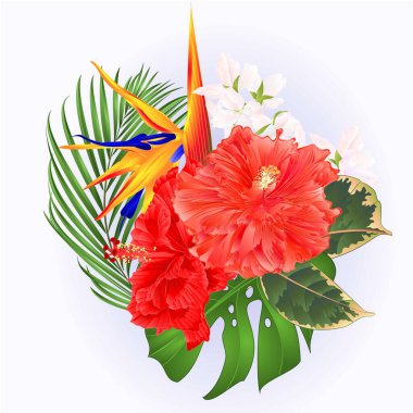 Pembe amfibik çiçekli tropik çiçek buketi ve Strelitzia reginae palmiye canavarı suluboya vintage vektör çizimi düzenlenebilir el çizimi