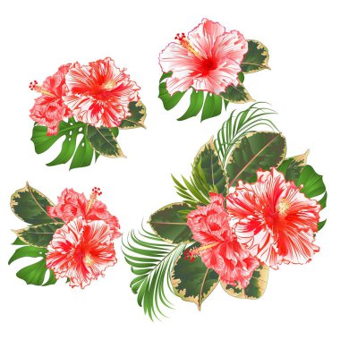 Tropikal çiçekli buket çiçek aranjmanlarını güzel beyaz ve kırmızı amberçiçeği kıvrımlı palmiye, filodendron ve incir çiçekleri düzenlenebilir klasik vektör illüstrasyonunu ayarlar.