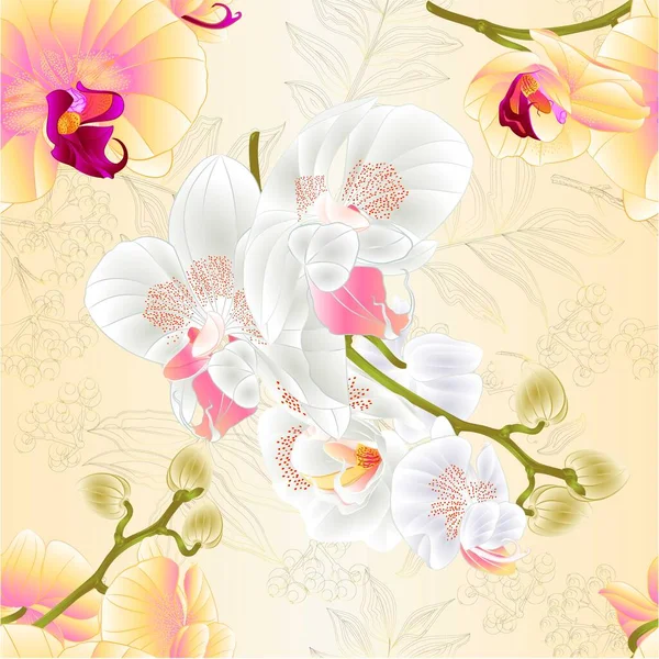 シームレスなテクスチャの枝蘭白と黄色の花熱帯植物自然背景ヴィンテージベクトル植物のイラストデザイン手描きのためのPhalenopsis — ストックベクタ
