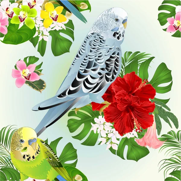 Pappagalli Tropicali Texture Senza Cuciture Blu Verde Budgerigars Casa Animale — Vettoriale Stock