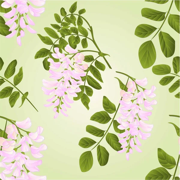 Seamless Texture Locust Tree Twigs Flowers Leaves Watercolor Vintage Vector — Stock Vector