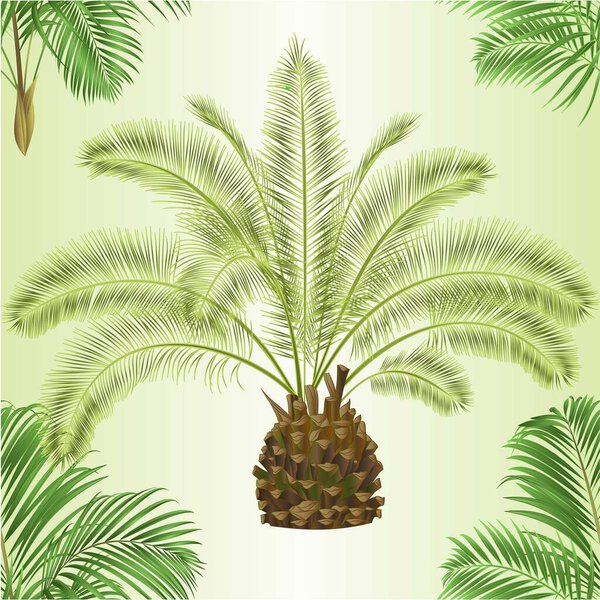 Seamless texture decoration palmae date and palm house plant  tropical plant natural on a white background watercolor vintage vector illustration editable hand drawn