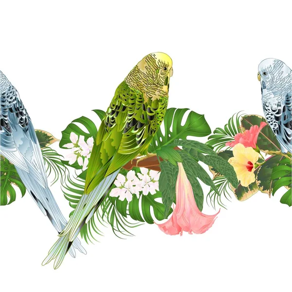 Frontera Tropical Sin Costuras Fondo Verde Azul Periféricos Periquitos Mascotas — Vector de stock