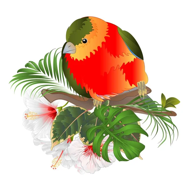 Tropical Bird Cute Small Funny Bird White Hibiscus Watercolor Style — стоковый вектор