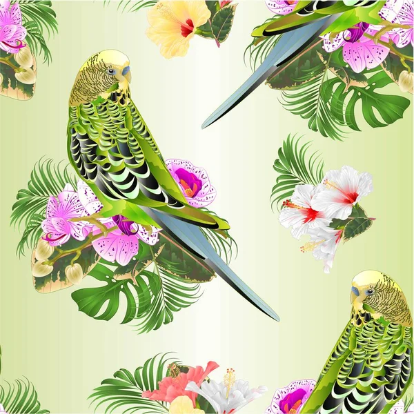 Kusursuz Doku Budgerigar Yeşil Evcil Hayvan Papağanı Tropikal Çiçekler Mor — Stok Vektör