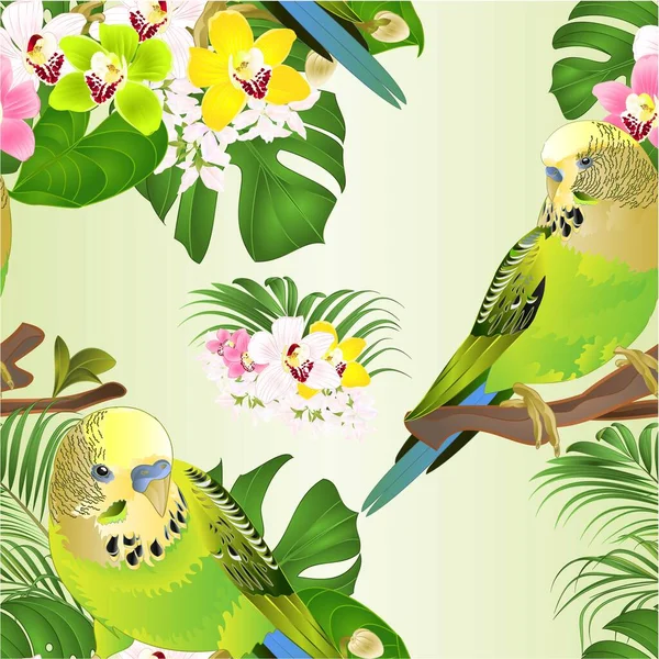 Płynna Tekstura Zielone Papugi Budgerigars Domowych Zwierząt Domowych Lub Papużki — Wektor stockowy