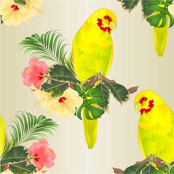 Textura Inconsútil Loro Amarillo Pájaro Indio Ringneck Loro Alexander Amarillo — Vector de stock