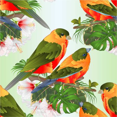Kusursuz desenli tropikal kuşlar şirin küçük komik kuşlar ve beyaz amberçiçeği suluboya stili beyaz arka plan klasik vektör çizimi düzenlenebilir el çizimi