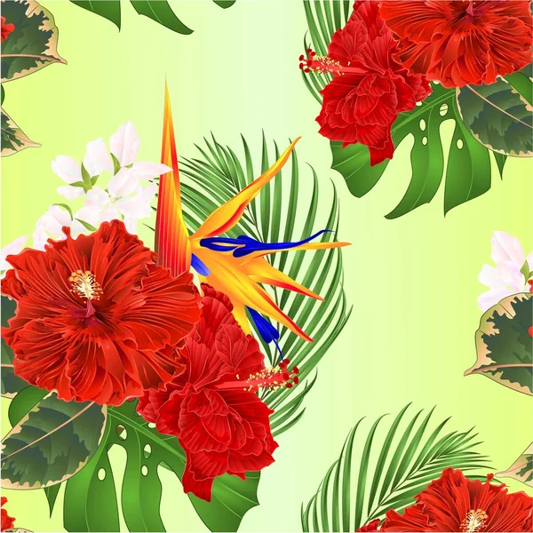 Kusursuz Desensiz Tropikal Çiçek Buketi Amber Çiçeği Strelitzia Reginae Palmiye — Stok Vektör