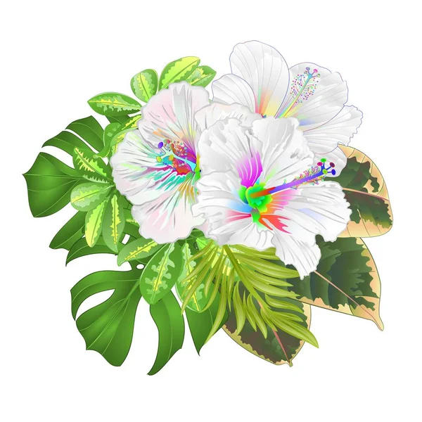 熱帯の花の花の配置と花束 美しい多色のハイビスカスと Schefflera Pholodendronと素晴らしい自然背景ヴィンテージベクトルイラスト編集可能な手描き — ストックベクタ