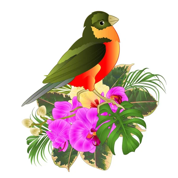 Tropikalny Ptak Kwiatami Tropikalnymi Piękną Orchideą Hibiskusem Żółtym Palmą Filodendronem — Wektor stockowy