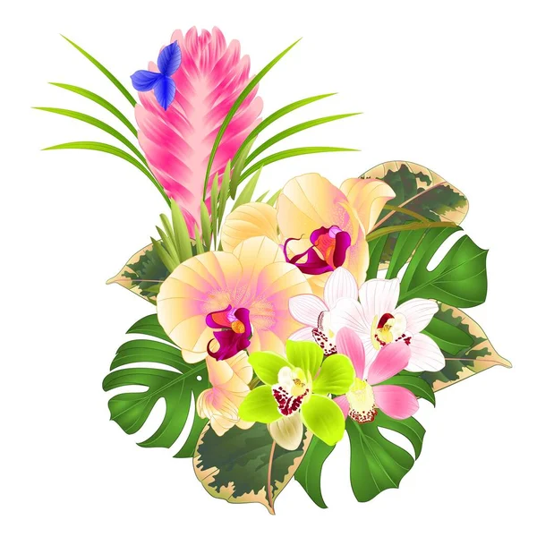 Tropikal Çiçekler Sarı Orkide Simibidyum Çeşitli Tillandsia Buketi Ile Palmiye — Stok Vektör