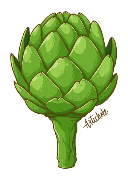 Artichoke Segar Sayuran Alami Gambar Tangan Vektor Ilustrasi Terisolasi - Stok Vektor