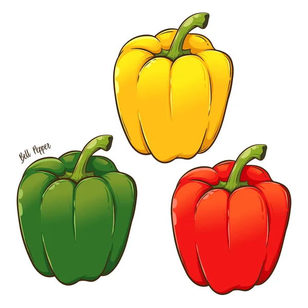 Pimentón Dulce Rojo Amarillo Verde Pimiento Ilustración Vectorial Dibujado Mano — Vector de stock