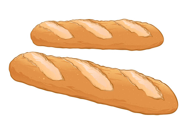Fresh Baguette Bread Hand Drawn