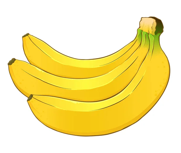 Tres plátanos frescos en un ramo — Vector de stock