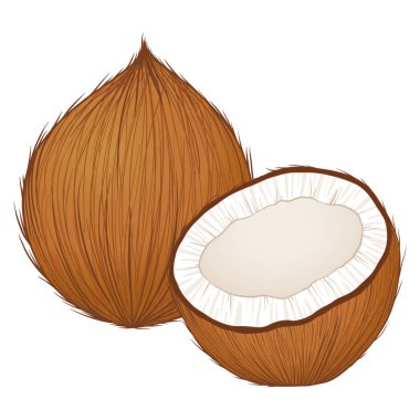 Hindistan cevizi bütün ve açıldı