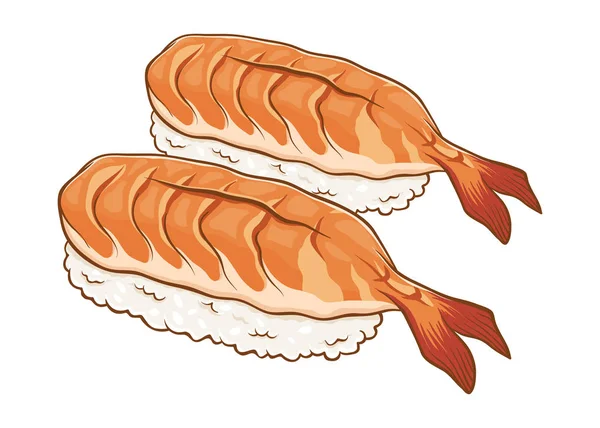 Sushi Shrimp Ebi Nigiri Illustration — Stock Vector