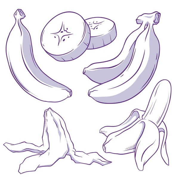 Banaan doodle — Stockvector