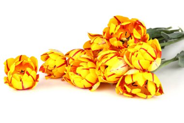 İnanılmaz çiçeklere yakın.