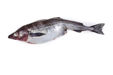 Beyaz arkaplanda Pollock