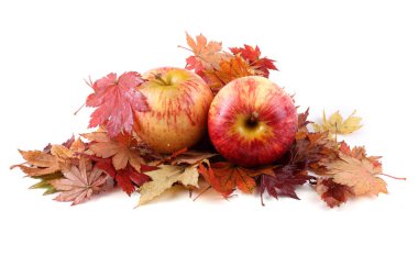 Sonbahar yapraklarındaki elmalar