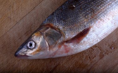 Kesme tahtasında Pasifik kırmızı yüzgeci